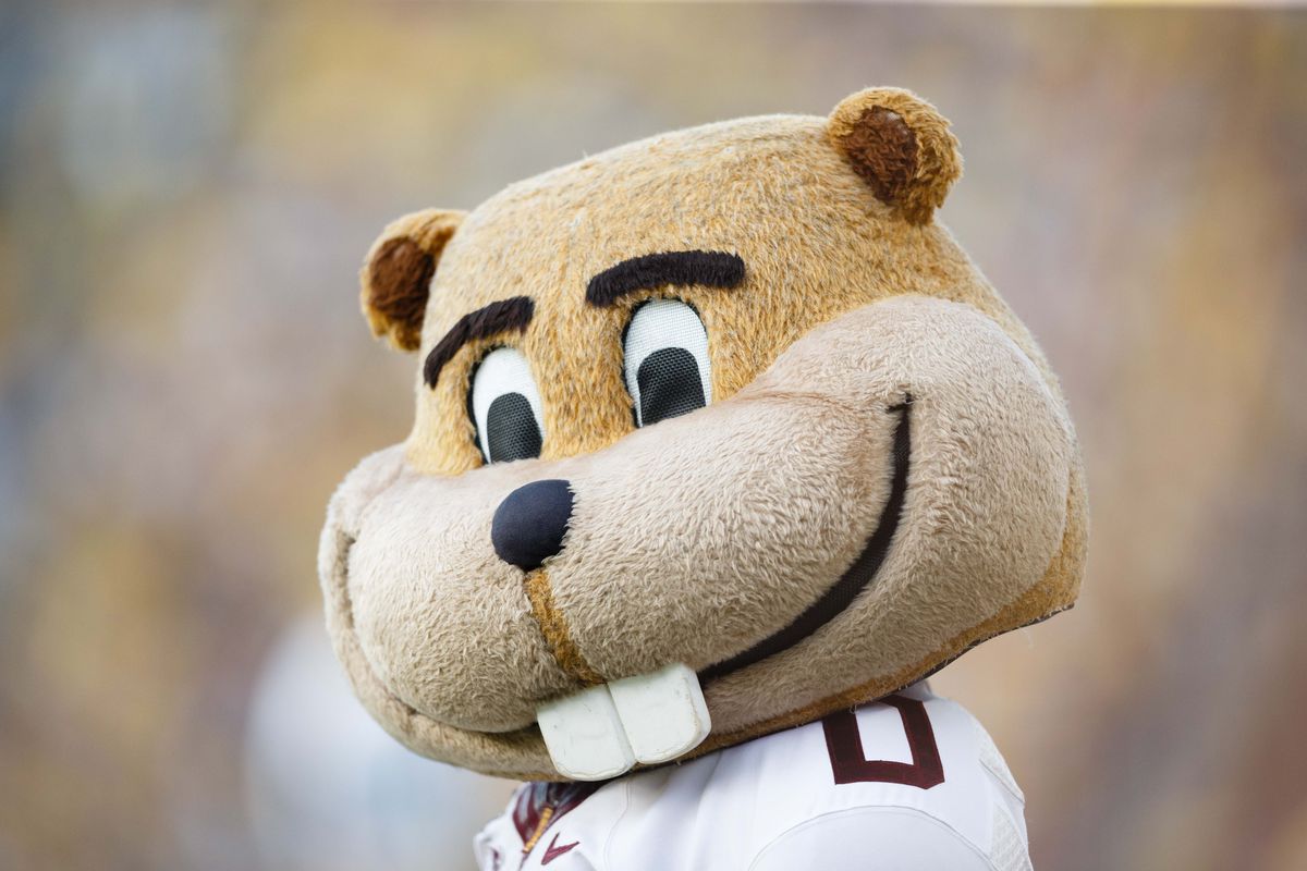 Goldy loves all of you.