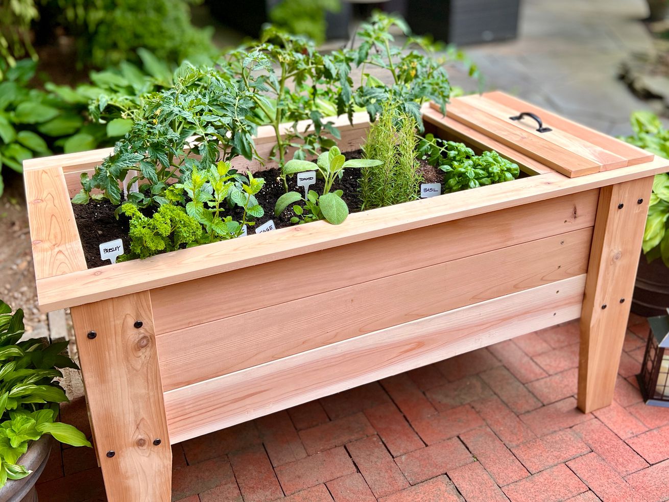 How to Build a Self-Watering Planter