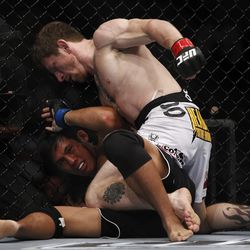 Mike Brown - UFC 133