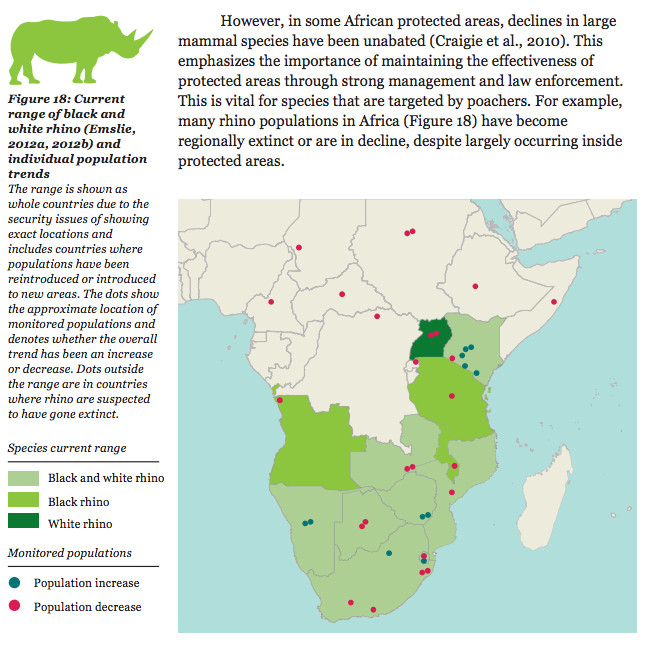 rhino protections