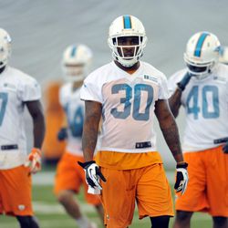 Jun 11, 2013; Davie, FL, USA; Miami Dolphins free safety Chris Clemons (30) looks on during practice drills at the Doctors Hospital Training Facility at Nova Southeastern University.