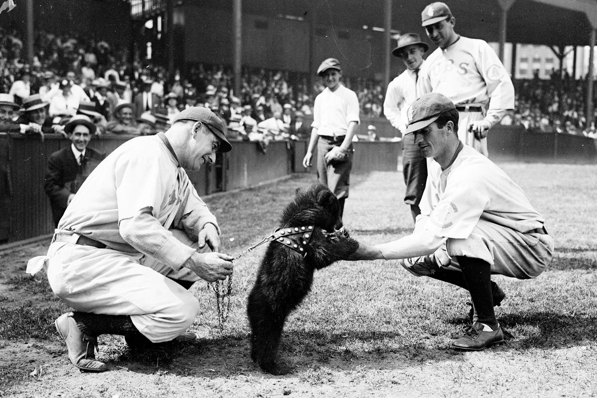 Chicago Cubs Players Pierce &amp; Bresnahan With Bear Cub