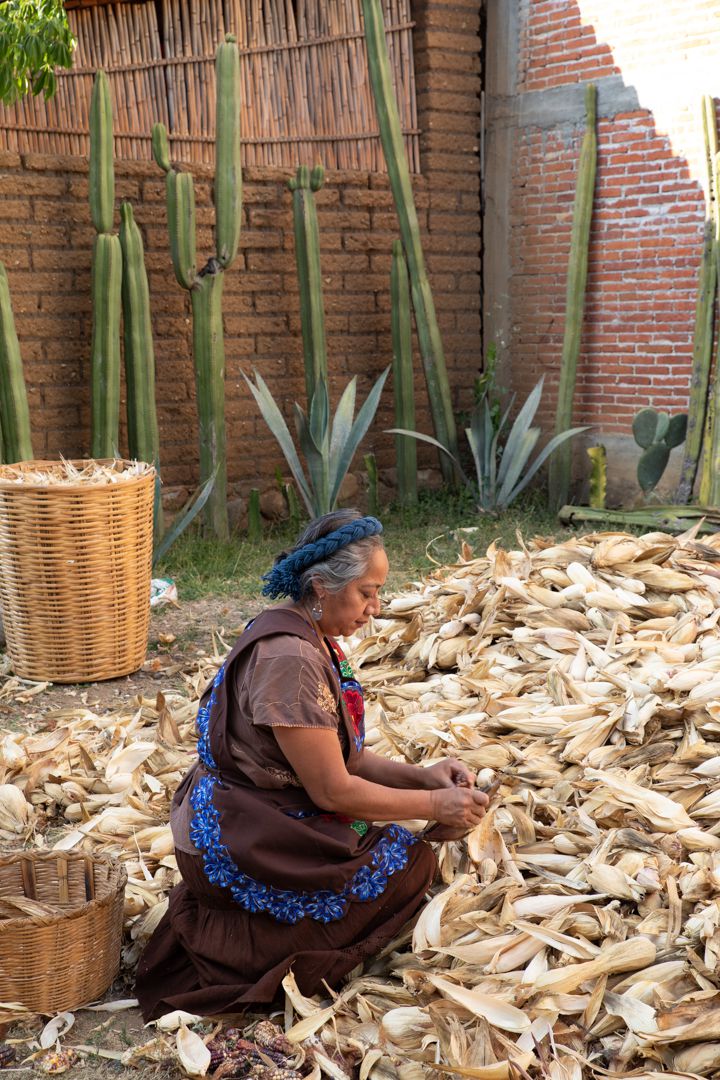 Woman kneeling by large pile of corn holds one ear in her hands.