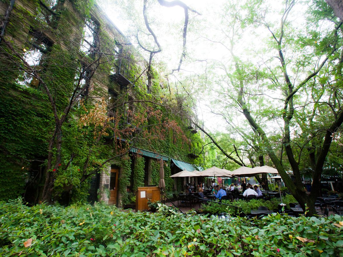 A building covered with ivy and lush plants all around with a grouping of beige umbrellas with tables underneath them. 
