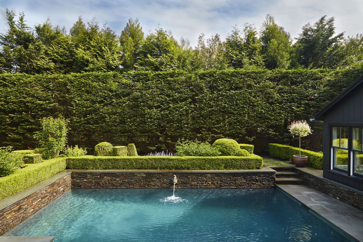 A lush hedge stands behind a pool.