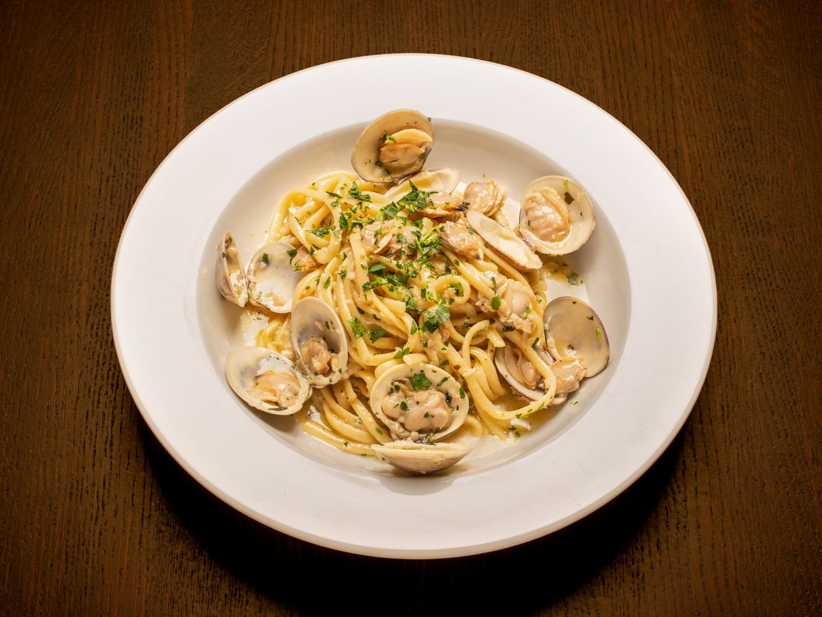 A white bowl holds spaghetti with clams and a white sauce.