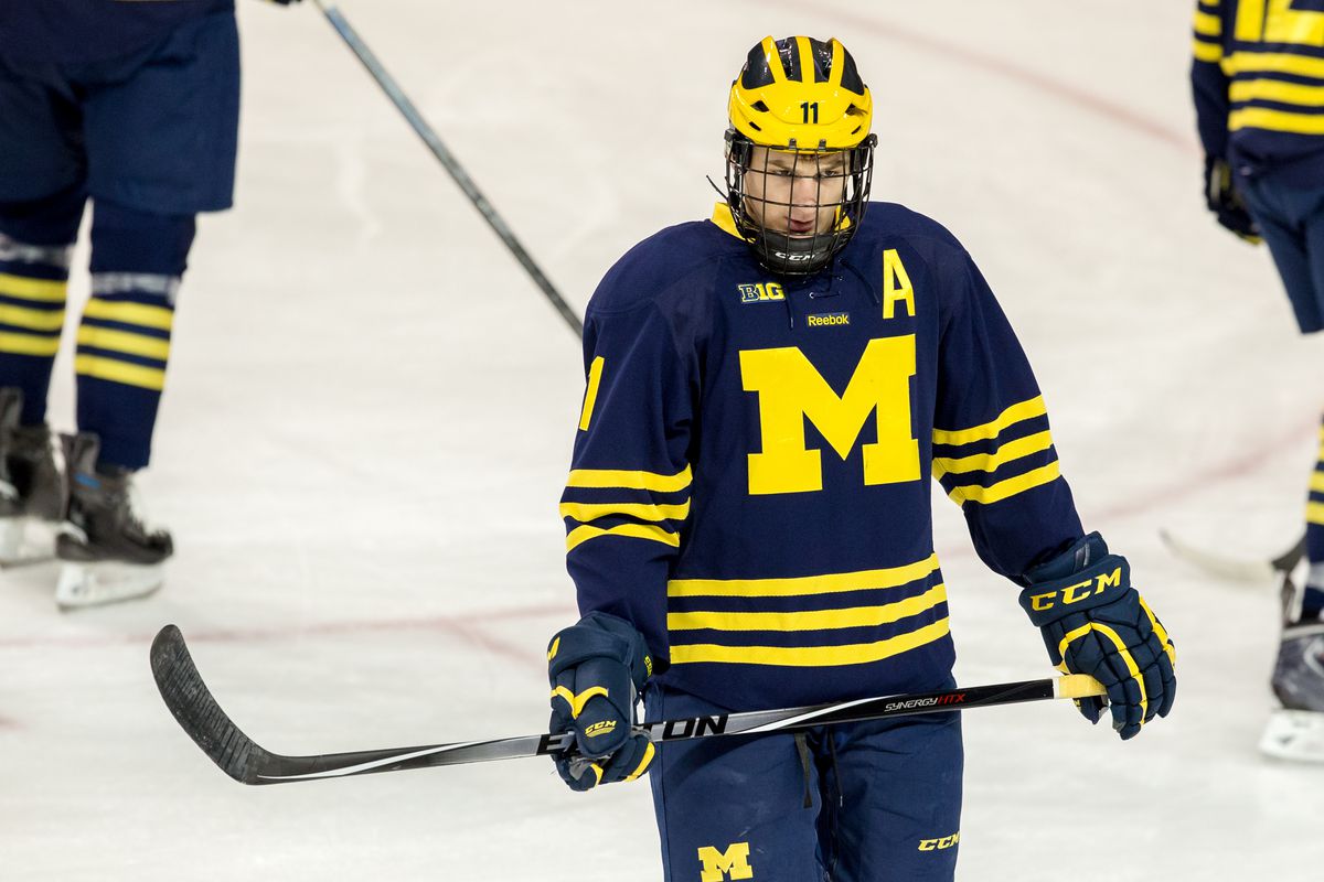 Zach Hyman leads the Wolverines with 48 points in just 28 games this season.
