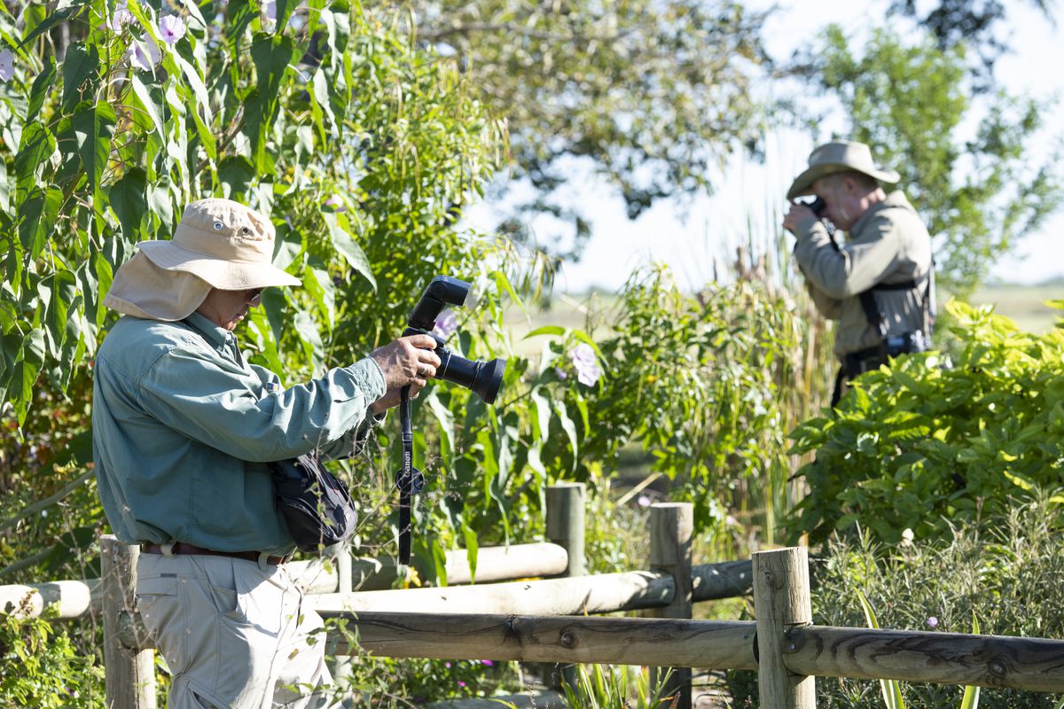 In the foreground a person in a sun protection hat holds up a camera with a zoom lens pointed at a bush. In the background a person looks through a pair of binoculars.