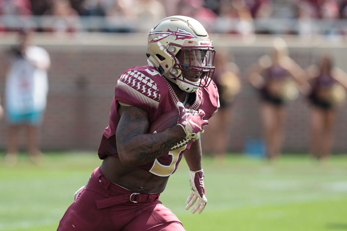 COLLEGE FOOTBALL: APR 06 Florida State Spring Game