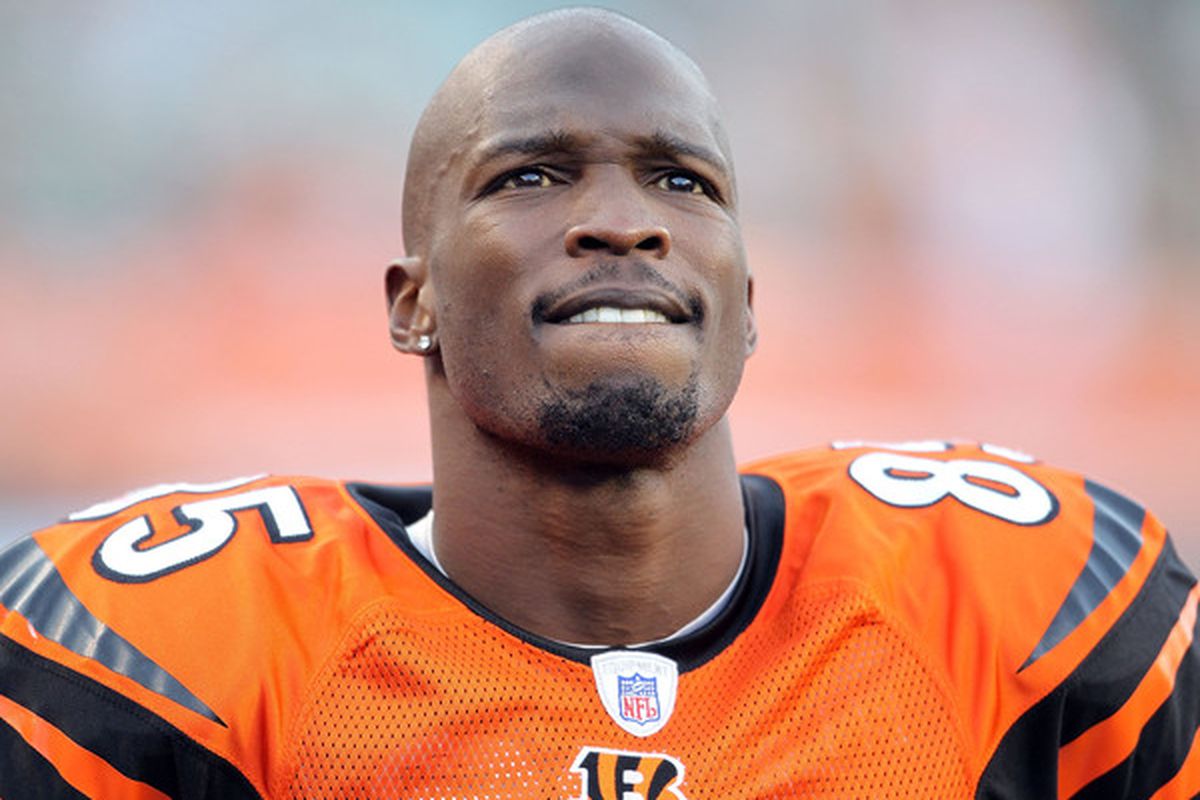 CINCINNATI - NOVEMBER 21:  Chad Ochocinco #85 of the Cincinnati Bengals watches the final minute of the Bengals 49-31 loss to the Buffalo Bills at Paul Brown Stadium on November 21 2010 in Cincinnati Ohio.  (Photo by Andy Lyons/Getty Images)