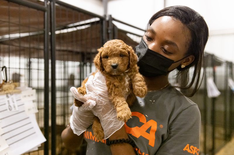 A woman holds a puppy next to a row of cages.