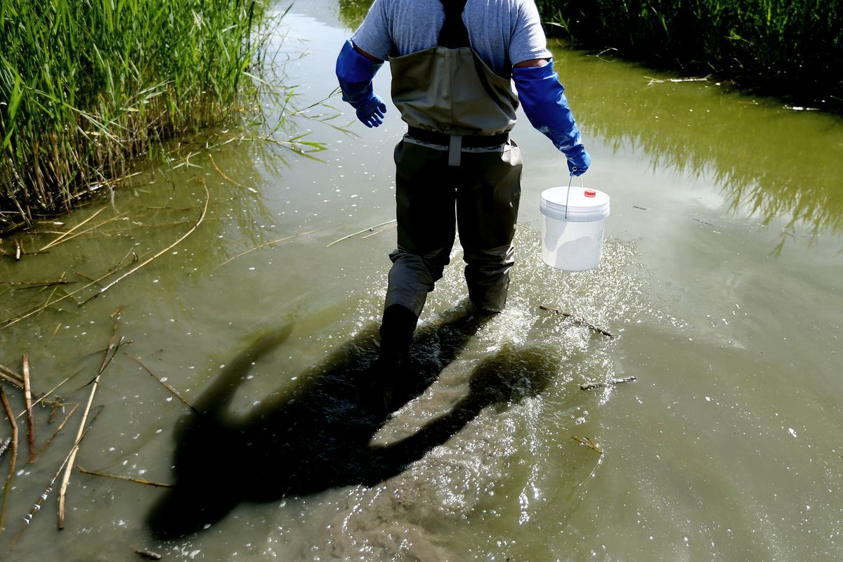 Trevor Gruwell, water quality technician with the Utah Department of Environmental Quality’s Division of Water Quality, collects water samples from Utah Lake in Spanish Fork on Wednesday, June 6, 2018. The department has been coordinating with multiple ag