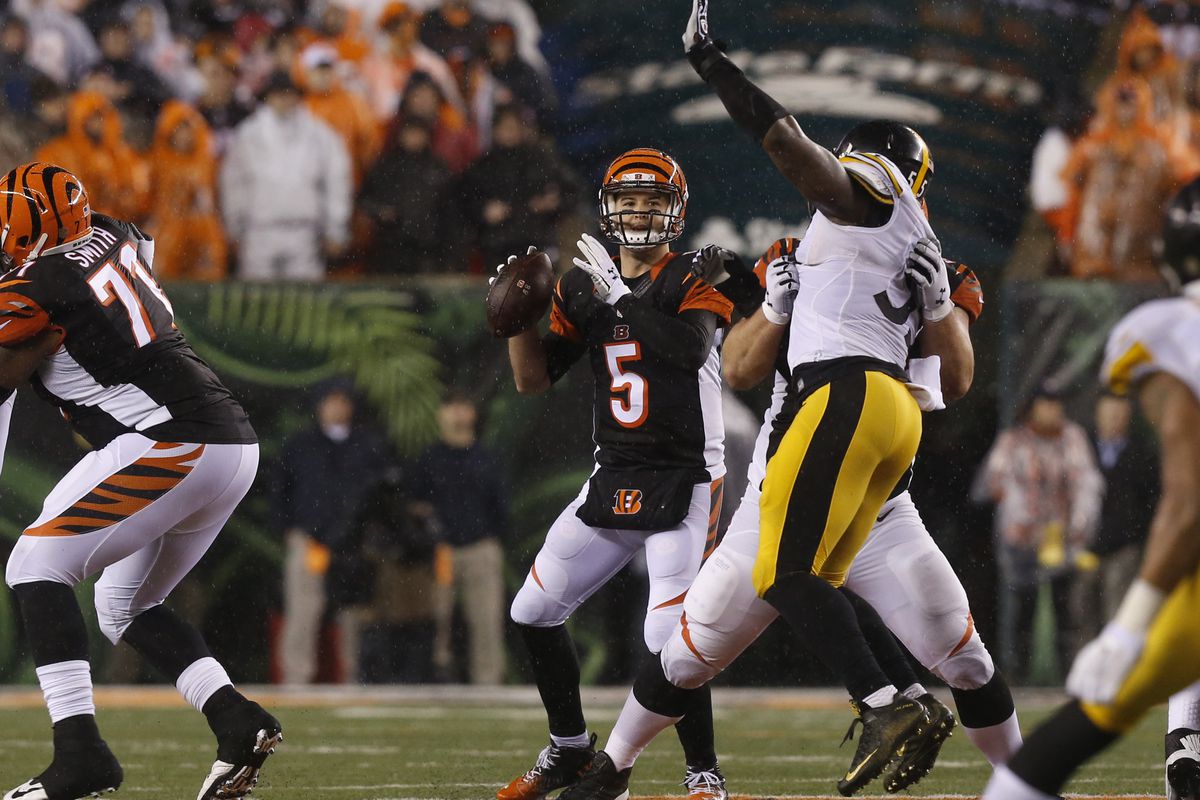 NFL: JAN 09 AFC Wild Card - Steelers at Bengals
