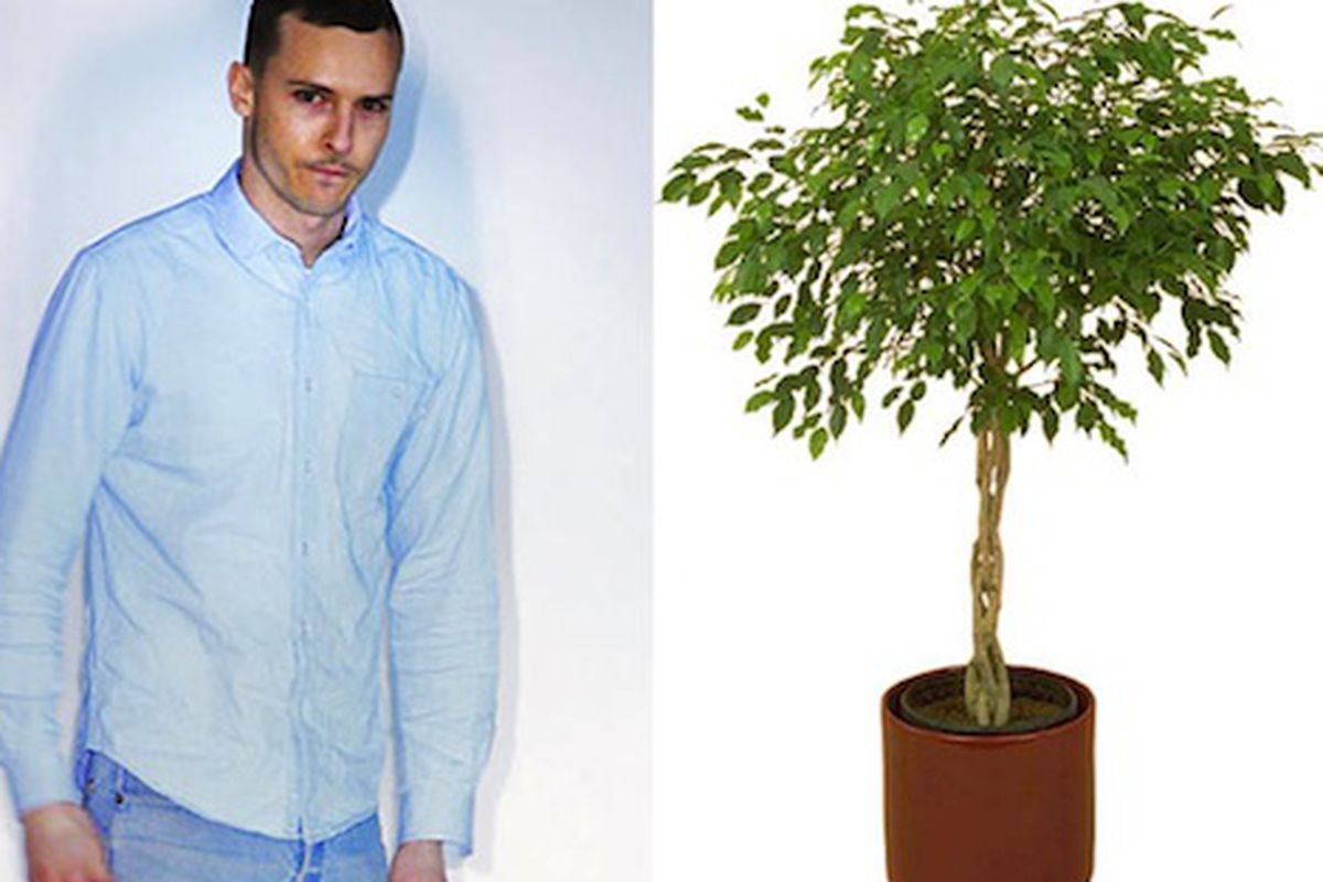 Patrik Ervell, left; Ficus plant, right.