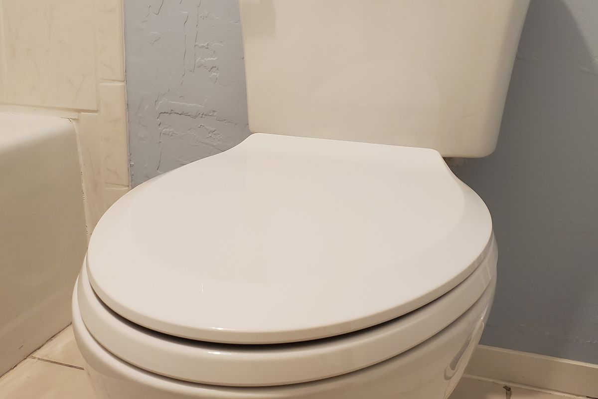 Newly Installed Flush Toilet