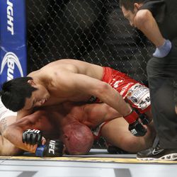 UFC 187 photos