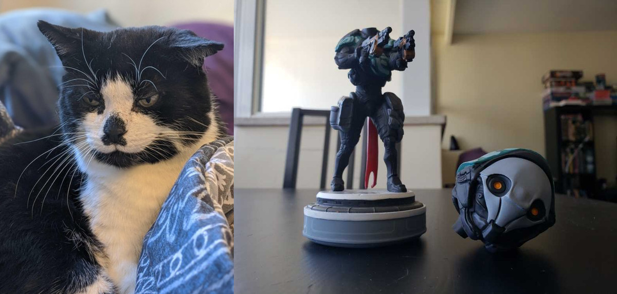 A picture of a tuxedo cat next to a picture of a broken Warframe bobblehead