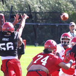 Sophomore defensive end Bradlee Anae jumps to block a pass thrown from senior quarterback Troy Williams during the first day of the University of Utah football team's fall camp Friday, July 28, 2017.