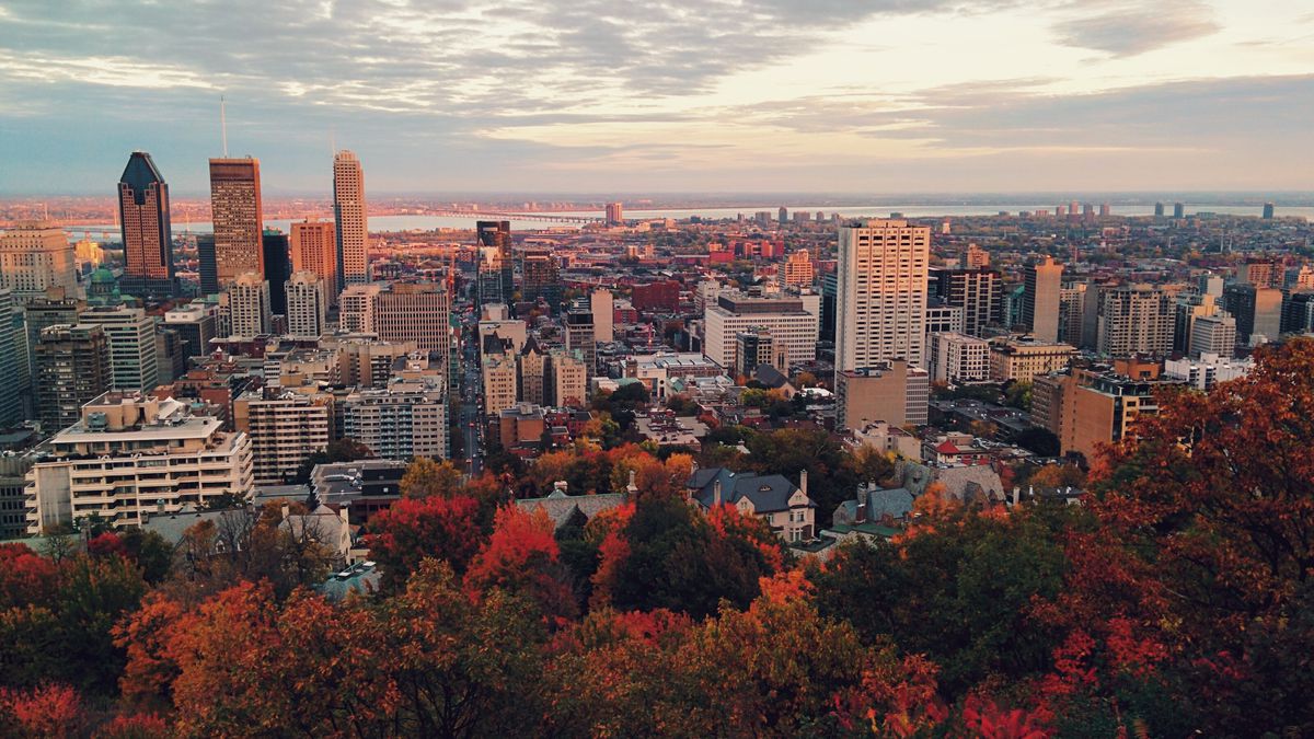 high-angle view of the Montreal cityscape in the Fall