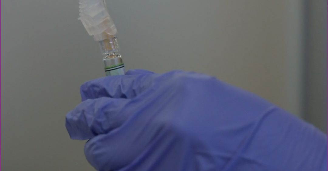 Larry Page is quietly funding efforts to develop a universal flu vaccine - The Verge thumbnail