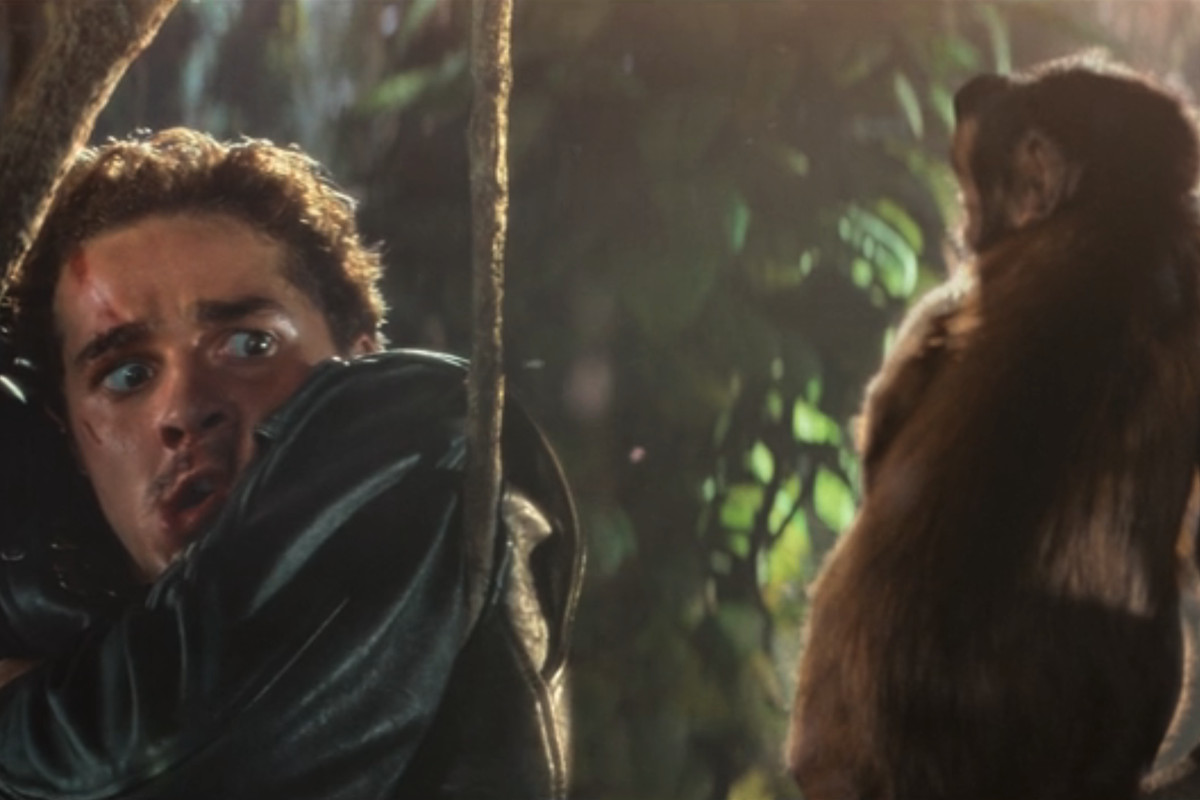 Mutt Williams (Shia LaBeouf) looks in confusion in in the direction of a monkey; both are high up in a jungle canopy
