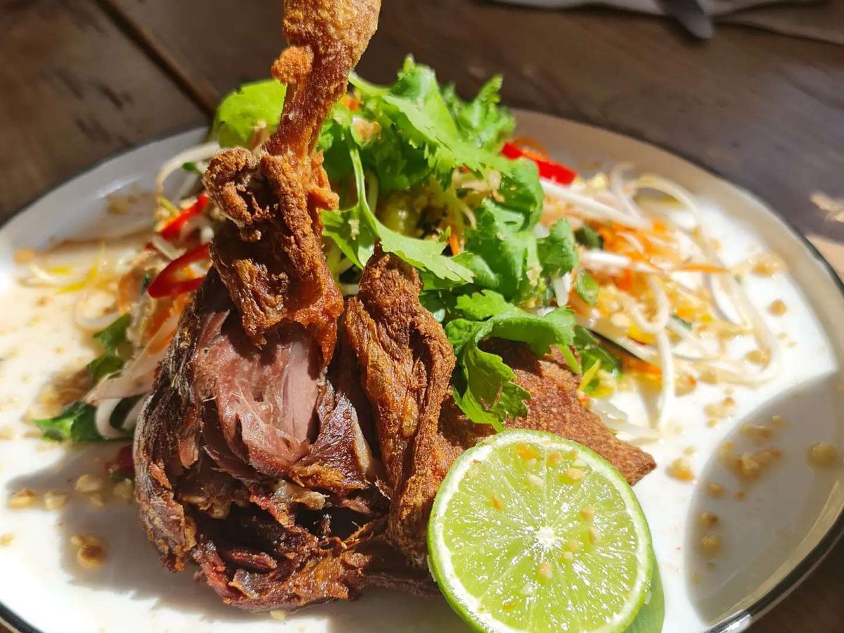 A duck leg slightly shredded to reveal the interior of the meat, sitting upright on a plate with a large herb-topped salad and a lime wedge