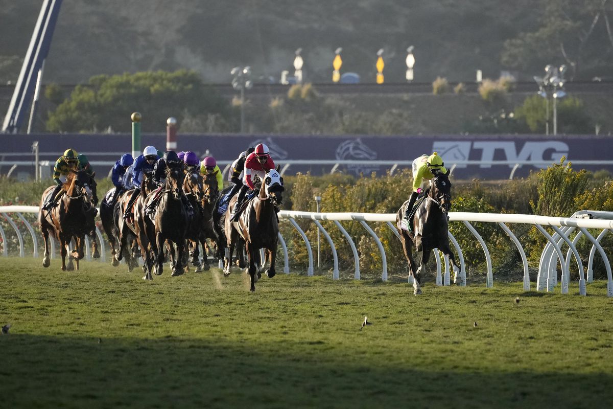 Horse Racing: Breeders’ Cup Championship