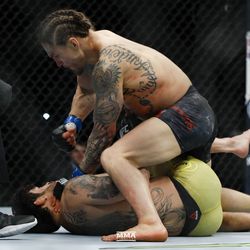Luke Sanders battles Renan Barao at UFC Phoenix.