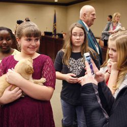 Alli Despain's fourth-grade class attended  the Senate Government Operations and Political Subdivisions Committee discuss a bill to designate the Golden Retriever as the state domestic animal in Salt Lake City Wednesday, Feb. 4, 2015. Here the students pet and hold golden retriever puppies.