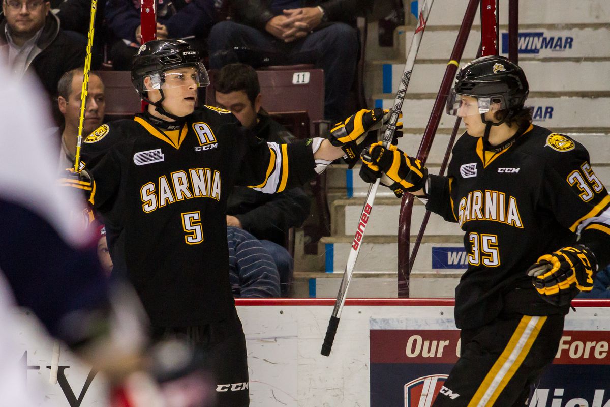 WINDSOR, ON - DECEMBER 28: Forward Nikita Korostelev #35 of the Sarnia Sting celebrates with Jakob Chychrun #5 after a goal against the Windsor Spitfires on December 28, 2015 at the WFCU Centre in Windsor, Ontario, Canada.