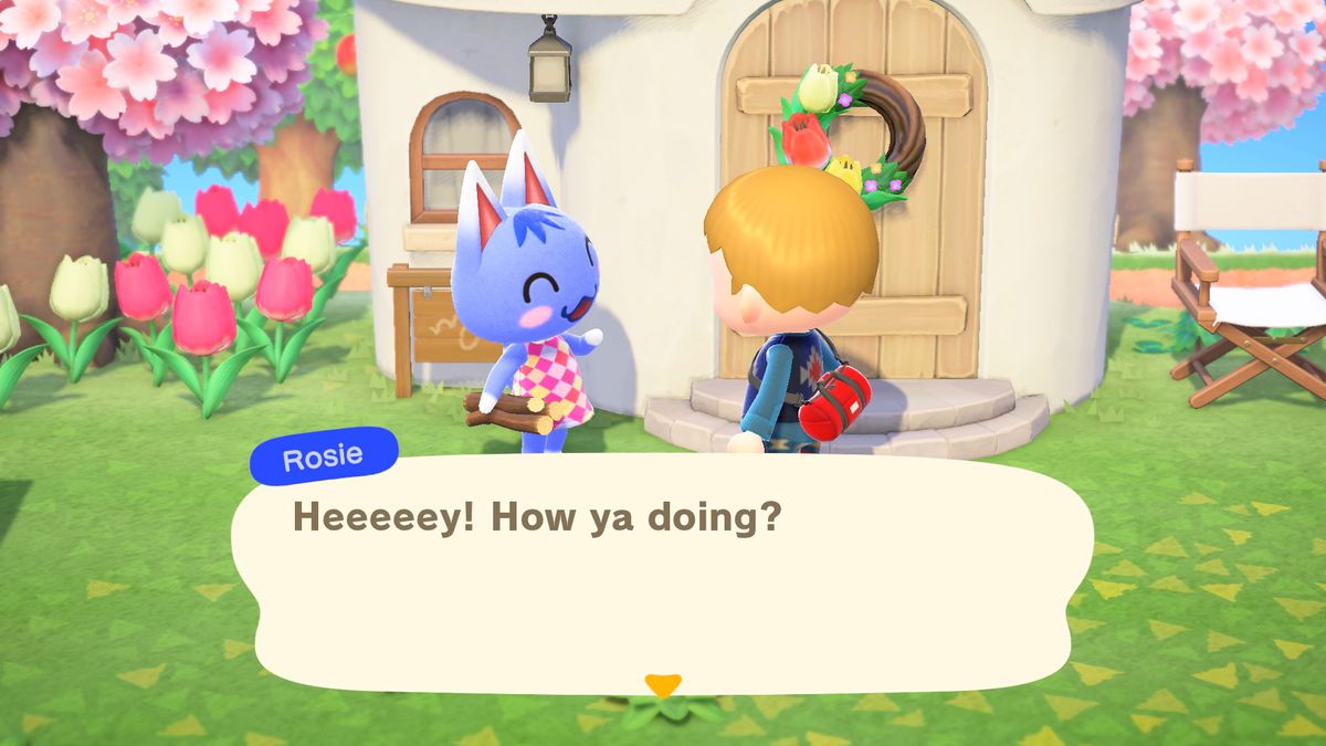 A villager and cat named Rosie speak outside a door in a screenshot from Animal Crossing: New Horizons