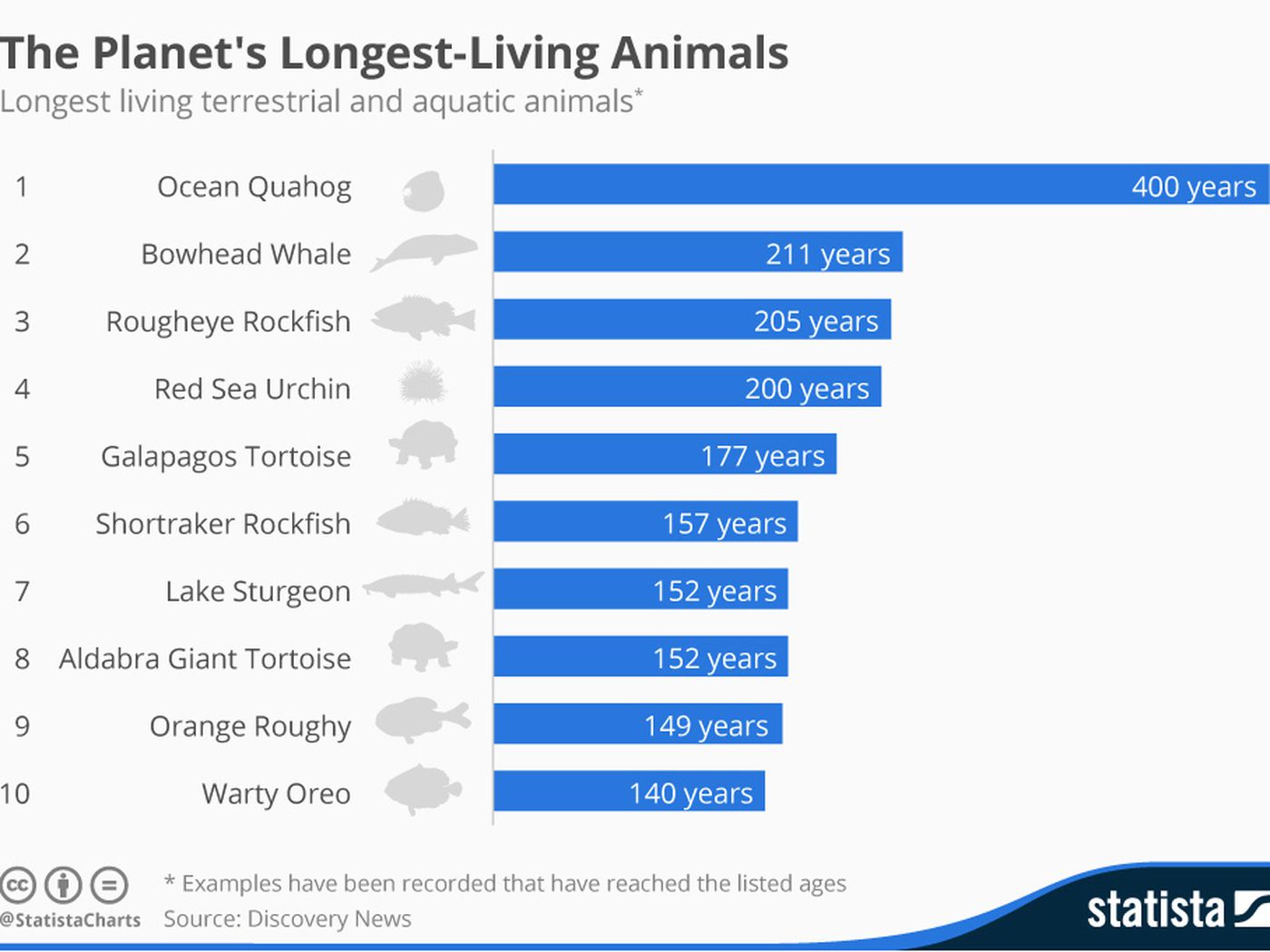 The longest-lived animals on Earth, in one chart - Vox