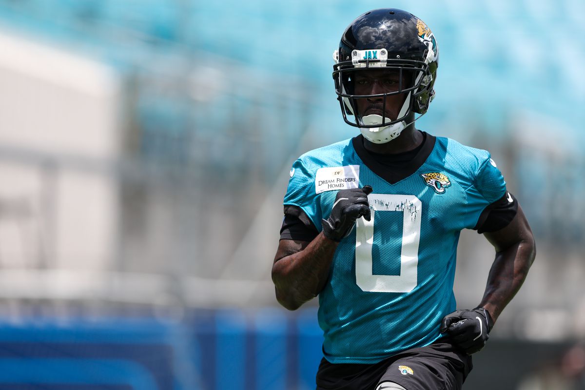 Fantasy football rankings 2022: The best wide receiver PPR players heading  into the season - DraftKings Network