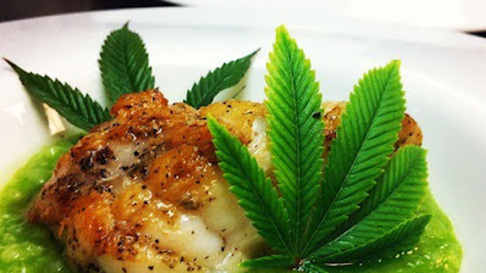 Блюда из конопли рецепт курение марихуаны факты