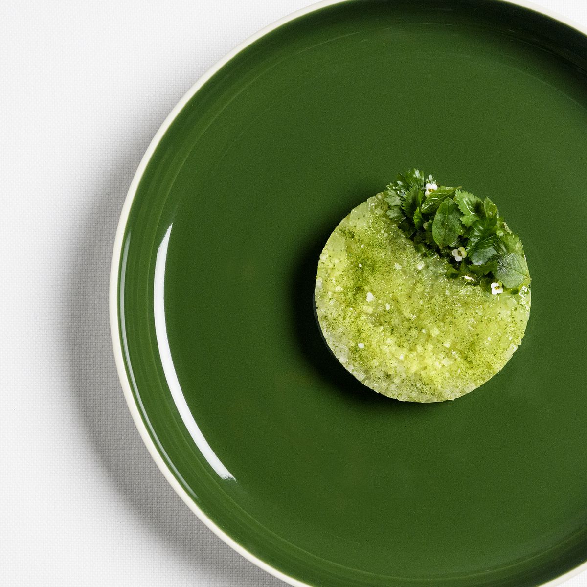 A tartare of cucumber with melon sits on a green plate