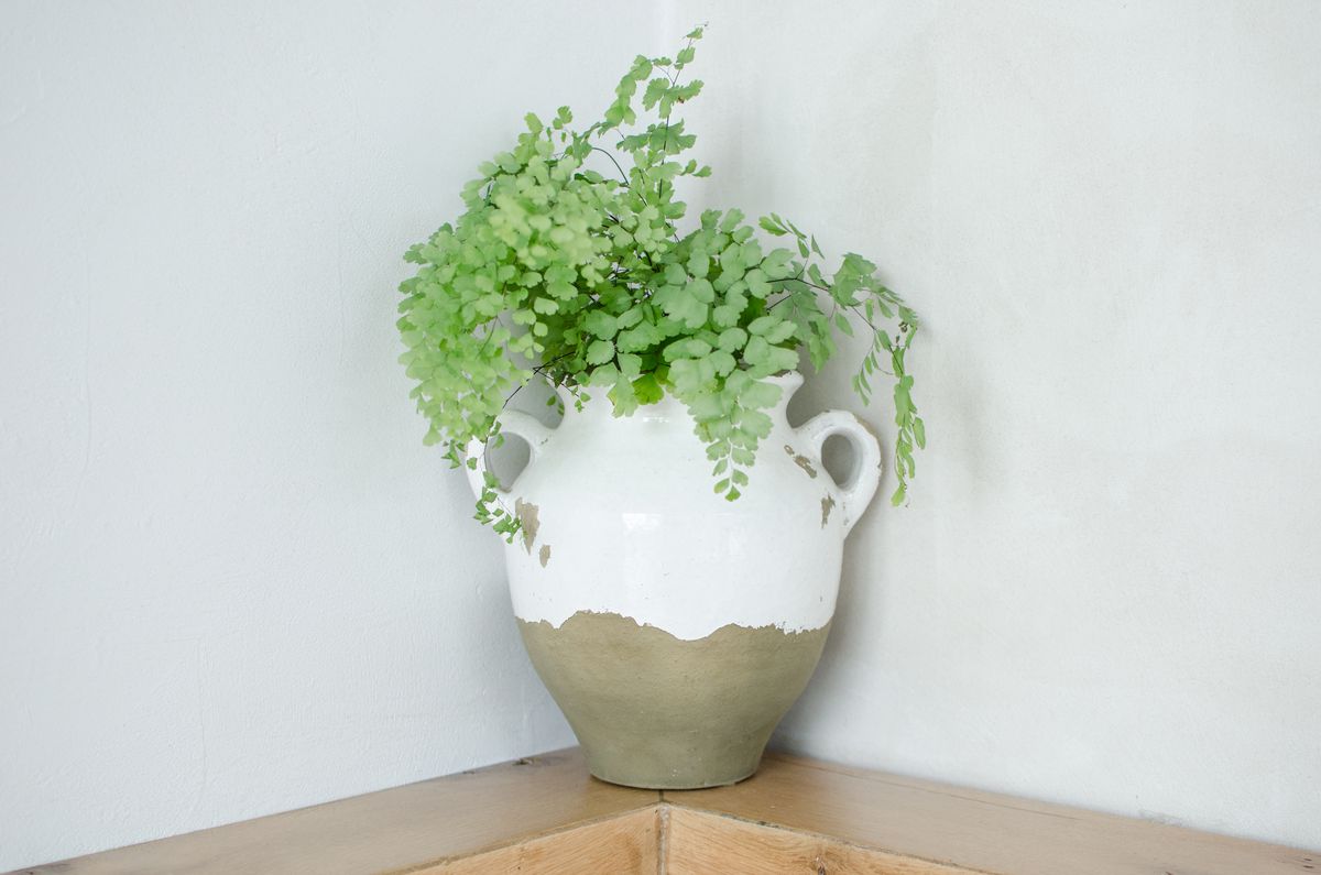 A sturdy white and gray vase full of greenery in a corner at Greco Seaport