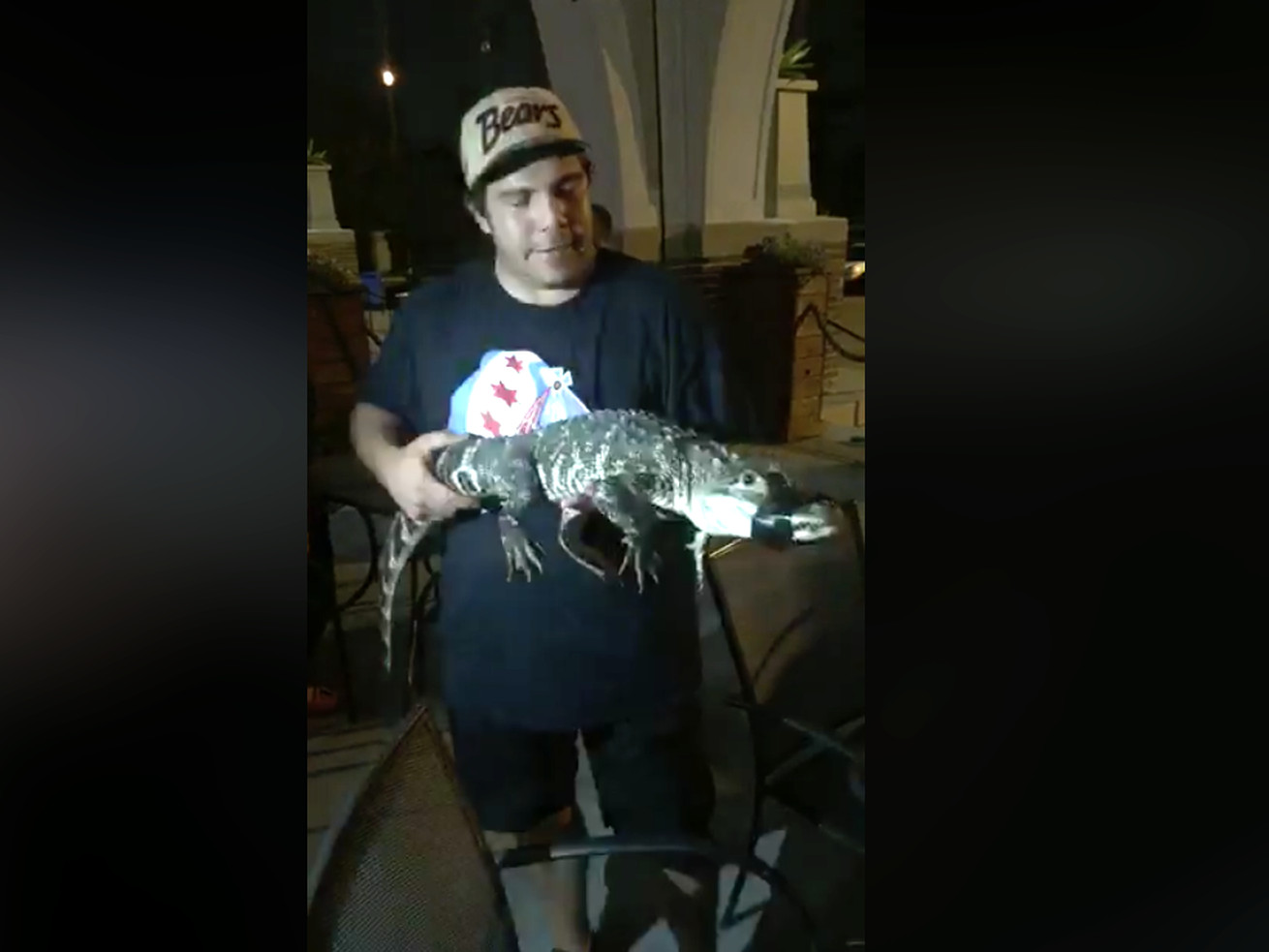 Man says he caught alligator in Humboldt Park