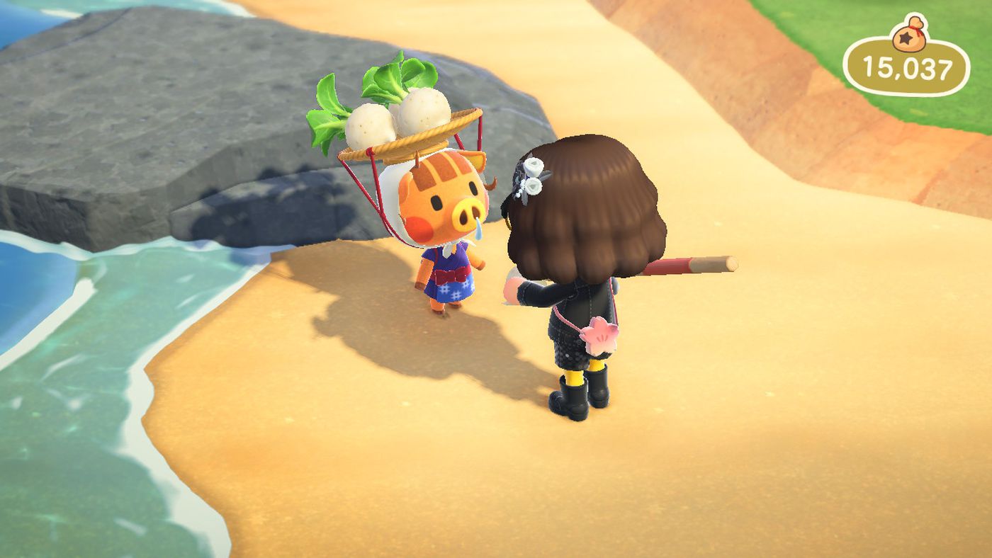 Almost 100 Animal Crossing: New Horizons players visited my island to sell  turnips - Polygon