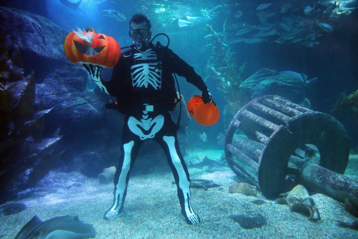 SeaLife Celebrates Halloween