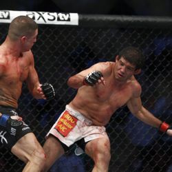 UFC 166 photos