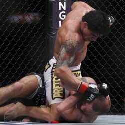 UFC 134 Photos