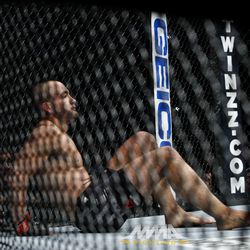UFC 205 photos