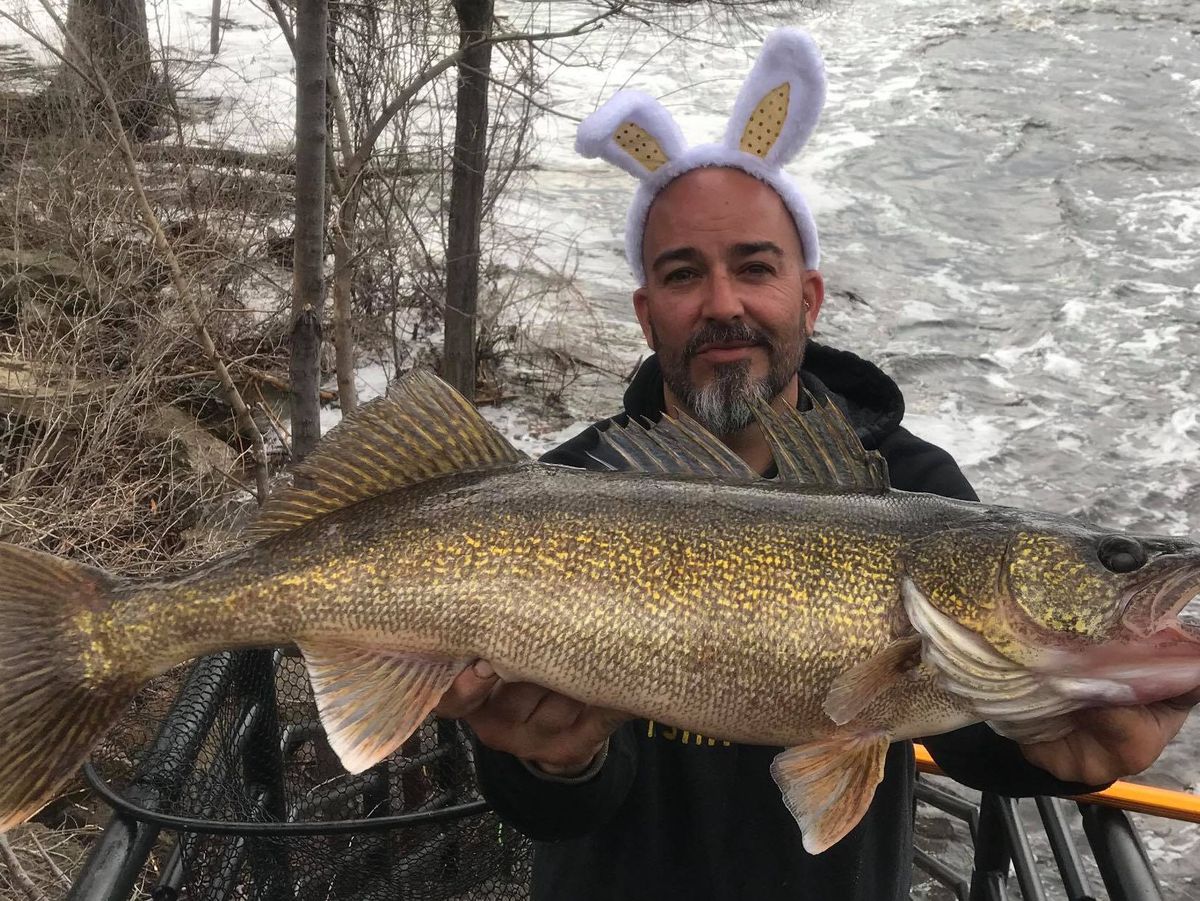 Terry Saether shows that walleye were going on Easter on the Menominee River.<br>Provided