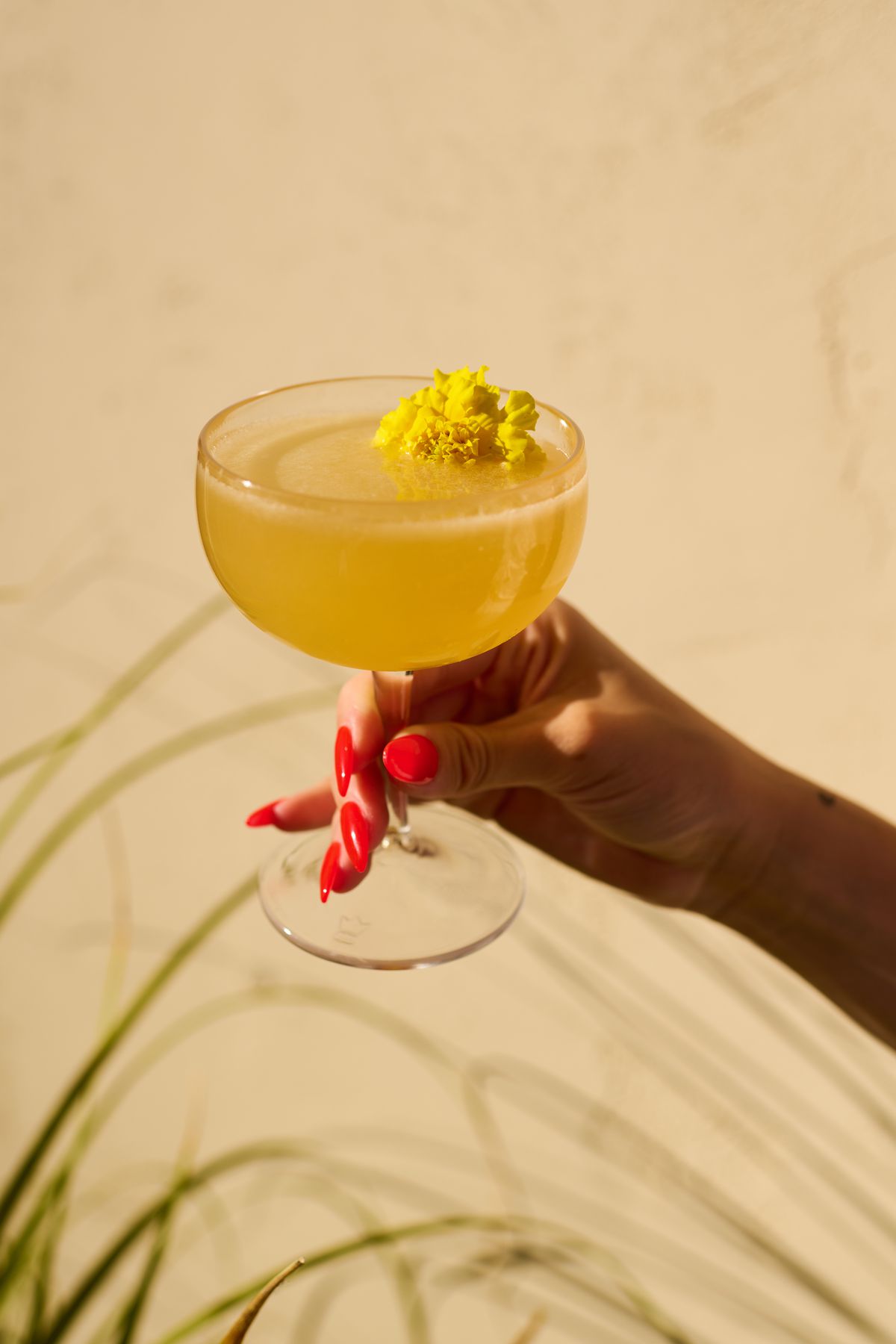 A yellow cocktail in a champagne glass garnished with an edible flower.