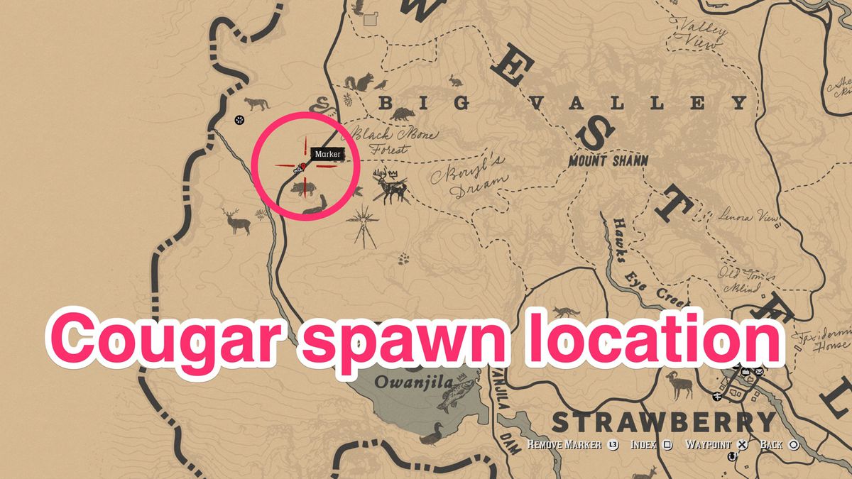 RDR2 cougar location map