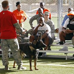 NFL Pro Bowler Elvis Dumervil, center, and Sheldon Richardson, center right, observes a military working dog demonstration at Luke Air Force Base during the Airman for a Day event sponsored by USAA, the Official Military Appreciation Sponsor of the NFL on