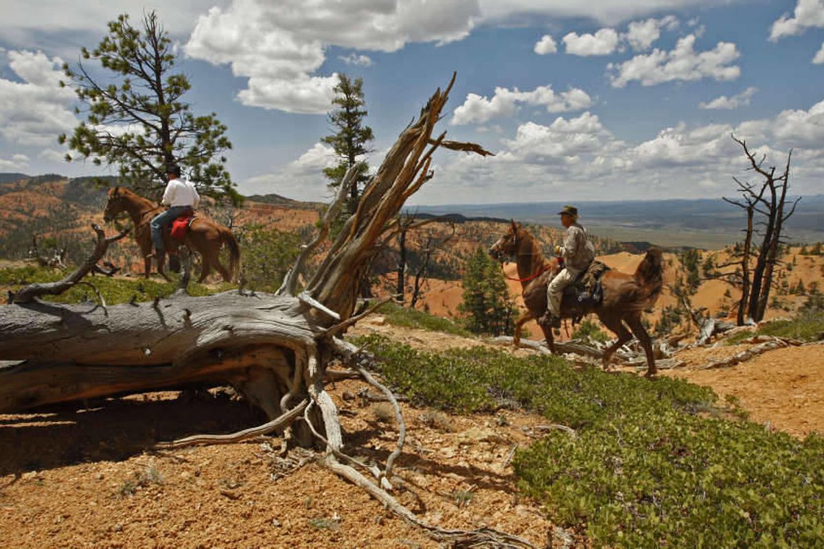 Tourists ride on top of one of the many Red Canyon vistas Tuesday, June 2, 2009, in Dixie National Forest, Utah. 