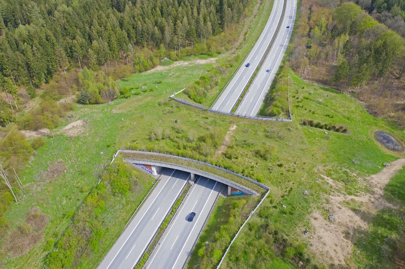 Aerial view over a bright green, grassy wildlife crossing that runs over a highway