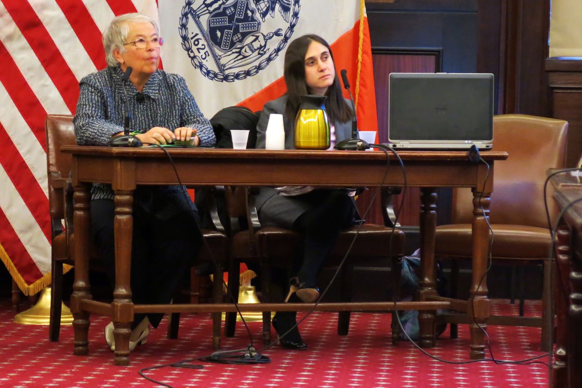 Chancellor Carmen Fariña and Sophia Pappas, the city's executive director of early childhood education, testified before the City Council.