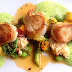 Seared day boat scallops at Troquet by <a href="http://www.flickr.com/photos/dalecruse/8902448044/in/pool-1844845@N22">Dale Cruse</a>
